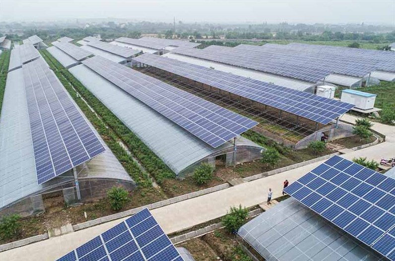Tiềm năng kết hợp sản xuất nông nghiệp với khai thác năng lượng mặt trời tại Việt Nam