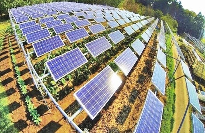 EDP bỏ vốn 500 triệu USD làm điện gió, điện mặt trời ở Việt Nam