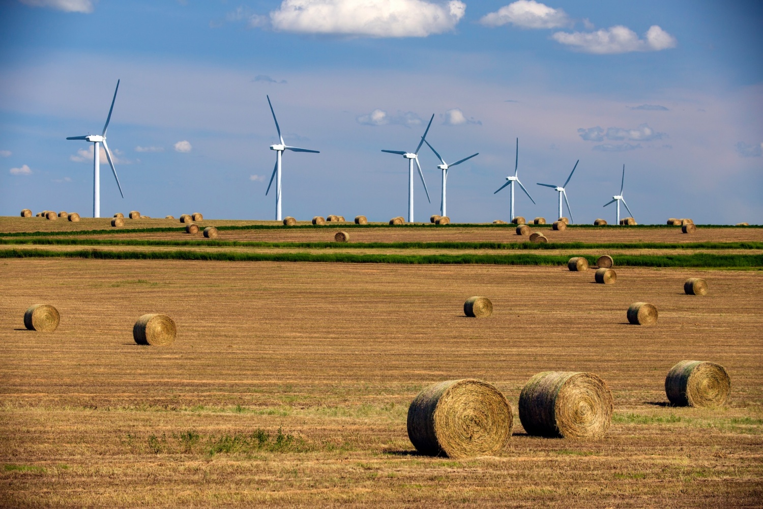 Canada áp đặt hạn chế về năng lượng tái tạo