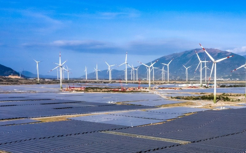 Xử lý việc EVN đột ngột dừng mua 172 MW điện mặt trời của Trung Nam