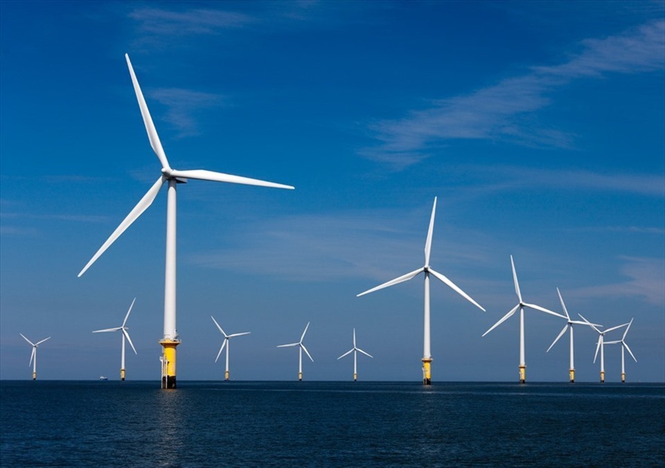 Cần thêm chính sách để phát triển điện gió bền vững