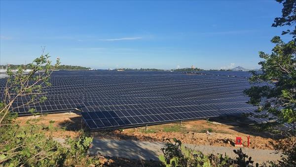 EVNSPC ưu tiên giải tỏa công suất các nhà máy điện năng lượng tái tạo