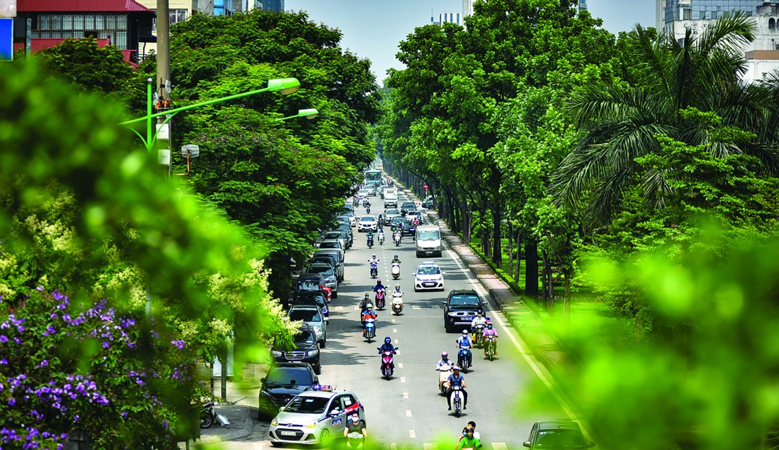Quản lý và xây dựng hạ tầng đô thị xanh hướng tới phát triển bền vững