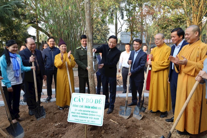 Phó Thủ tướng Trần Hồng Hà tham dự lễ khởi động dự án “Trồng cây hướng đến Net Zero”