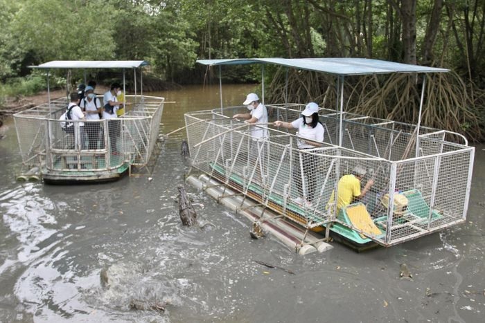 Bảo vệ 'lá phổi xanh' Cần Giờ