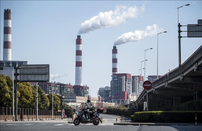 Tiêu thụ than của ngành công nghiệp chủ chốt Trung Quốc đạt đỉnh vào năm?