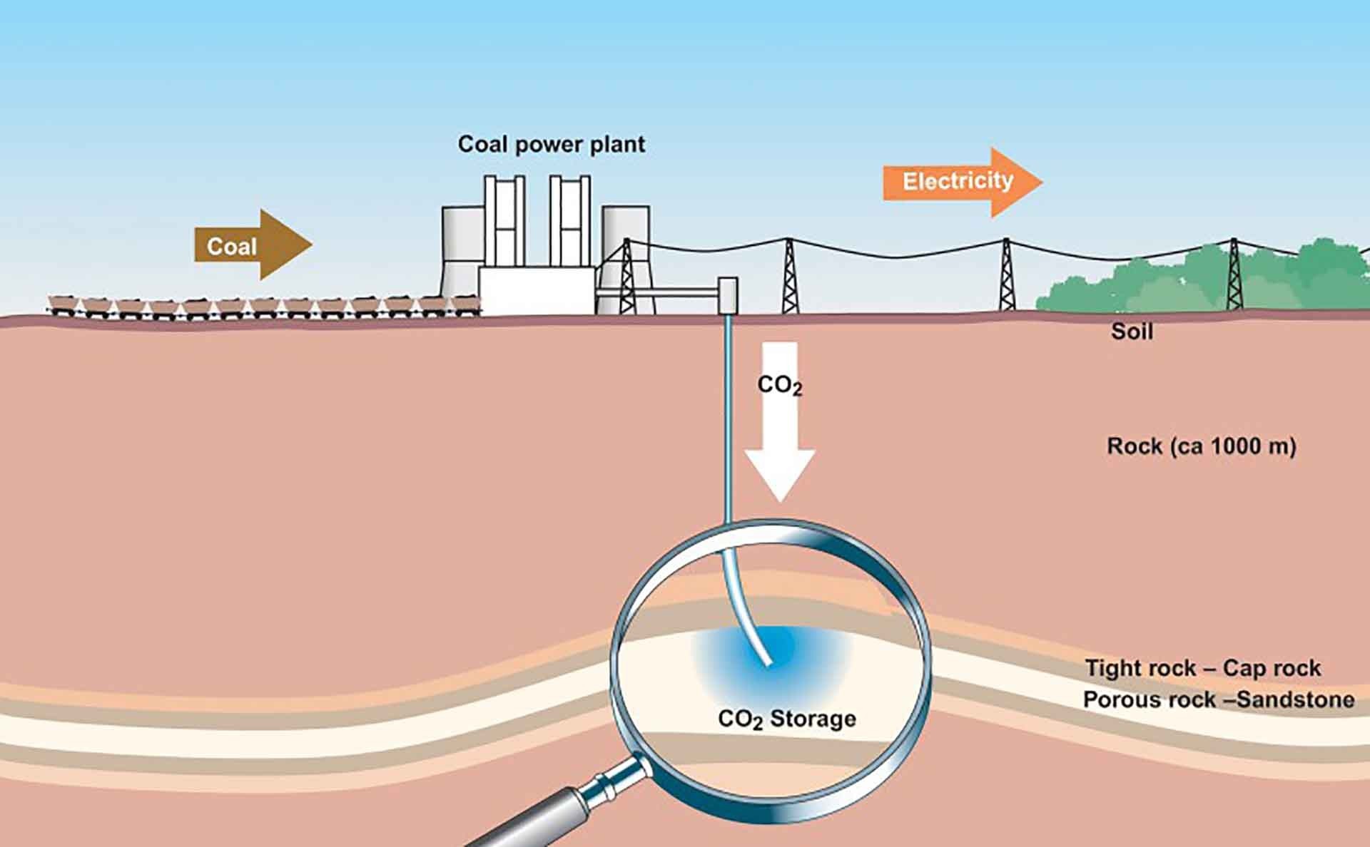 Giải pháp cho biến đổi khí hậu: ‘Bắt’ carbon phục vụ hành tinh xanh