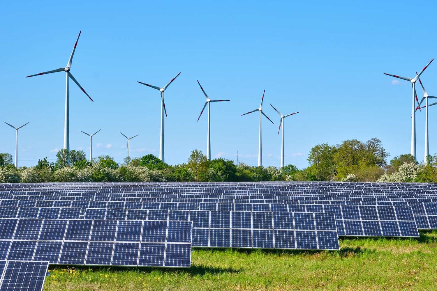 Đột phá lớn trên thị trường năng lượng tái tạo Mỹ