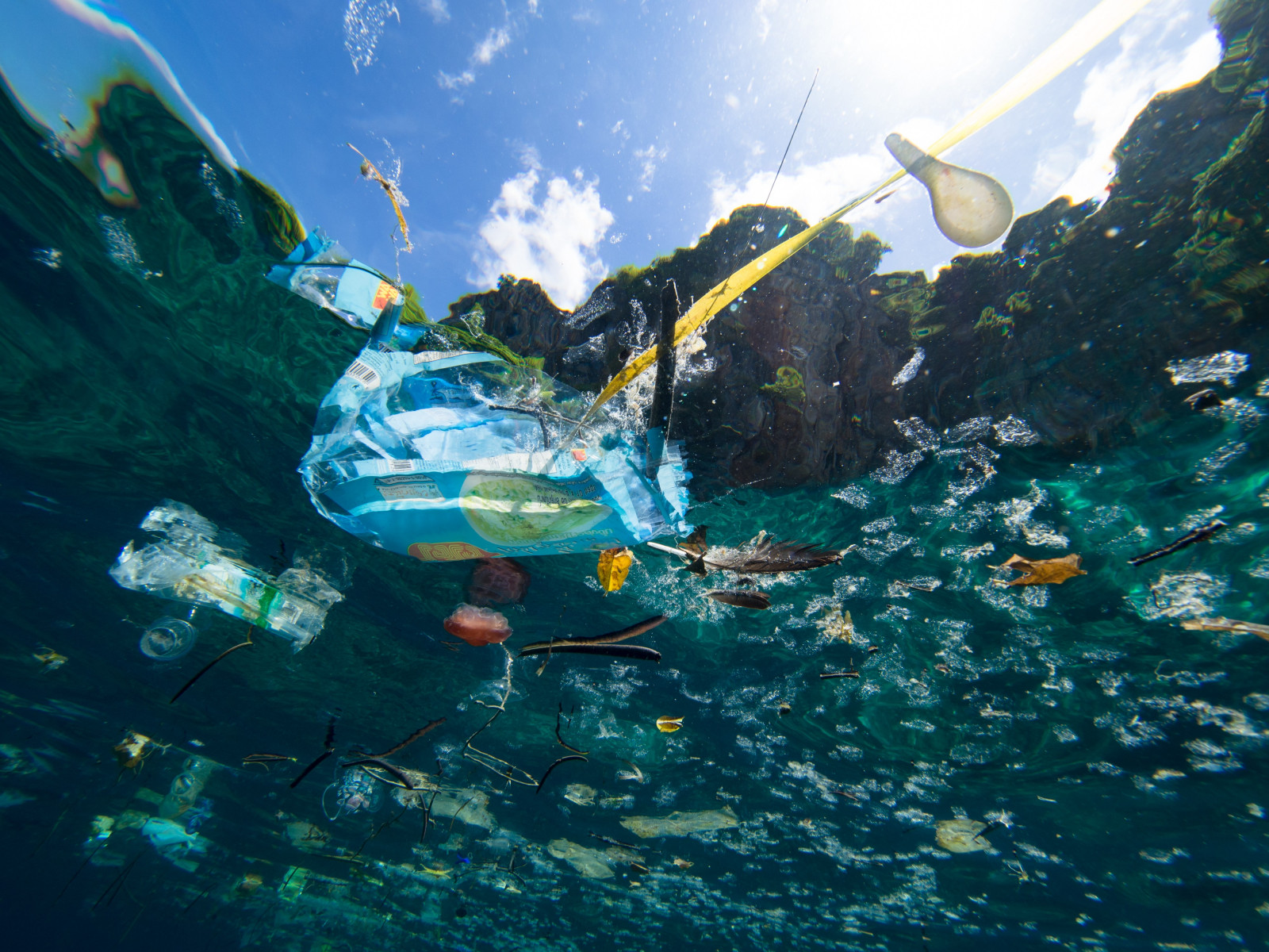 Rác thải nhựa vẫn là mối đe dọa lớn đối với đại dương
