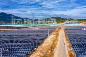 Ninh Thuận: Lo nhà máy 450 MW không được phát 172 MW, tỉnh và doanh nghiệp gõ cửa khắp nơi