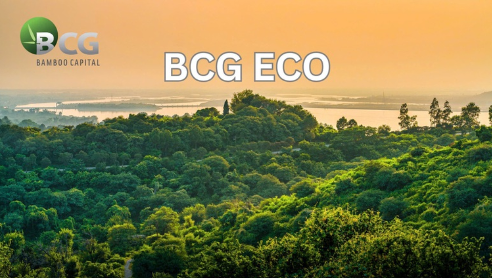 Thúc đẩy phát triển bền vững, Bamboo Capital (BCG) lập công ty trồng, chăm sóc rừng
