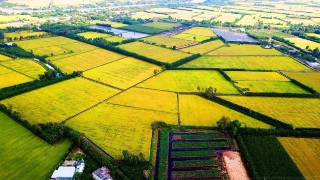 Thông điệp “4 mới” trong quy hoạch Đồng bằng sông Cửu Long