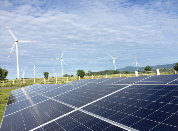 Quy hoạch điện VIII: Hướng tới ưu tiên phát triển các nguồn năng lượng tái tạo