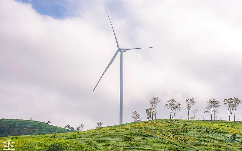 Đà Lạt có thêm 2 dự án điện gió tổng vốn đầu tư hơn 4.300 tỷ đồng
