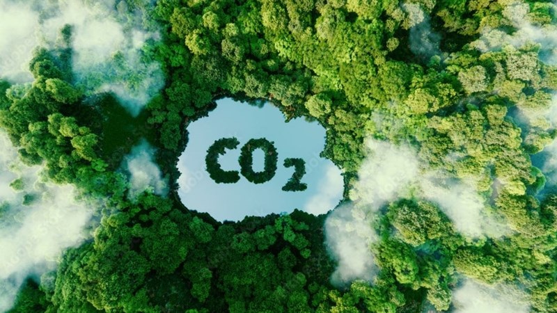 Định giá carbon và giải pháp thúc đẩy phát triển thị trường carbon tại Việt Nam