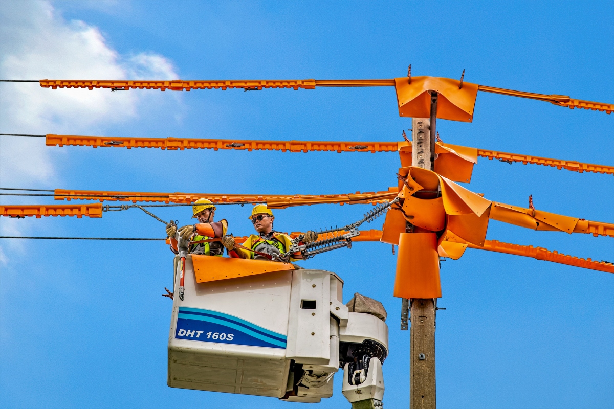 Ứng dụng công nghệ trong quản lý vận hành lưới điện