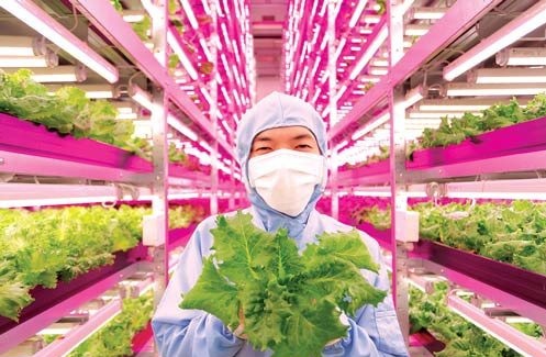 Hệ sinh thái chiếu sáng trong mục tiêu phát triển xanh tại GEFE 2022