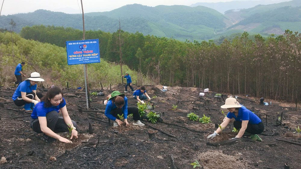 Đẩy nhanh Đề án 1 tỷ cây xanh