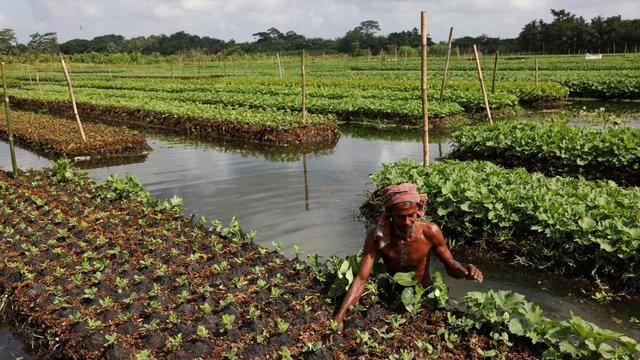 Thu hút thêm tài chính để thúc đẩy chuyển đổi xanh tại châu Á