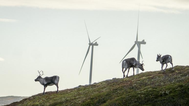 Làn sóng biểu tình chống điện gió phi pháp ở Na Uy
