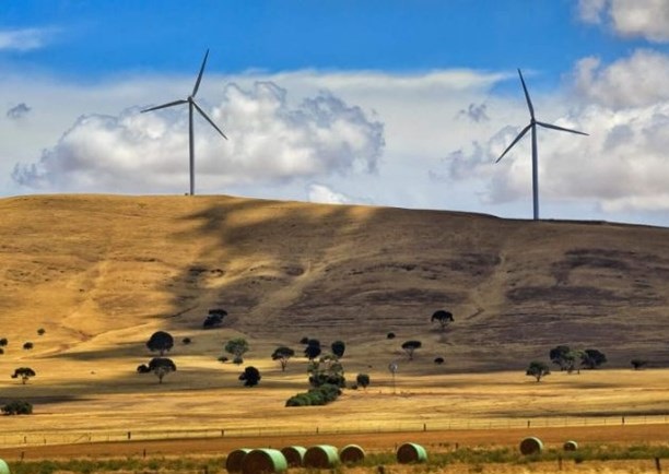 Australia khởi công xây dựng trang trại điện gió trên bờ công suất lớn