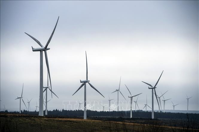 Thế giới hướng tới những mục tiêu tham vọng về năng lượng tái tạo