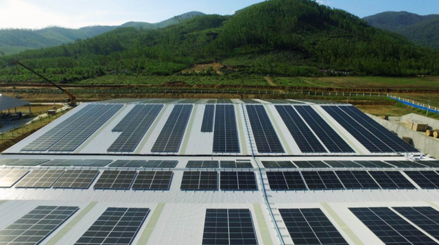 SP Group liên doanh với BCG Energy đầu tư điện mặt trời tại Việt Nam