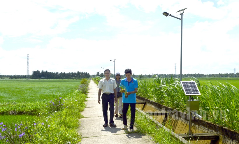 Điện năng lượng mặt trời trên cánh đồng bê-tông nổi Cầu Tre