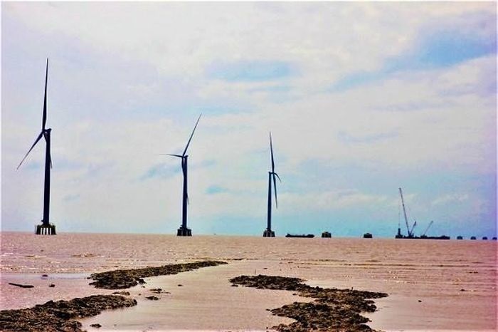 Rào cản nào khiến phát triển điện gió ở Cà Mau chưa xứng tiềm năng?